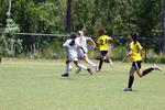 IMG_0221 (cam 0)