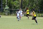 IMG_0222 (cam 0)