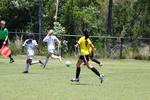 IMG_0223 (cam 0)
