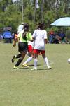 IMG_0082 (cam 0)