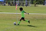 IMG_0033 (cam 0)