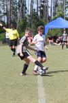 IMG_0050 (cam 0)