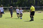IMG_0031 (cam 0)