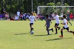 IMG_0040 (cam 0)