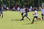 IMG_0043 (cam 0)