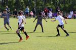 IMG_0046 (cam 0)