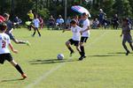 IMG_0049 (cam 0)
