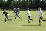 IMG_0053 (cam 0)