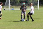IMG_0061 (cam 0)