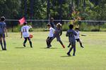 IMG_0073 (cam 0)
