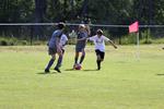 IMG_0075 (cam 0)