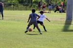 IMG_0078 (cam 0)