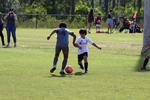 IMG_0080 (cam 0)