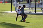 IMG_0084 (cam 0)