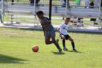 IMG_0088 (cam 0)