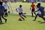IMG_0092 (cam 0)