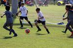 IMG_0094 (cam 0)