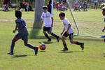 IMG_0095 (cam 0)
