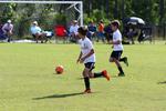 IMG_0102 (cam 0)