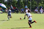 IMG_0104 (cam 0)