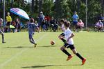 IMG_0105 (cam 0)