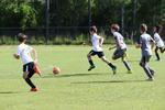 IMG_0109 (cam 0)