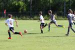 IMG_0110 (cam 0)