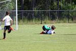 IMG_0116 (cam 0)