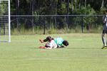 IMG_0117 (cam 0)