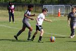 IMG_0118 (cam 0)