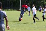 IMG_0132 (cam 0)