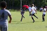 IMG_0133 (cam 0)