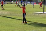 IMG_0137 (cam 0)
