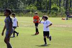 IMG_0151 (cam 0)