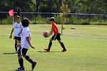 IMG_0153 (cam 0)