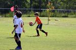 IMG_0154 (cam 0)