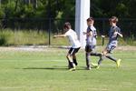 IMG_0158 (cam 0)