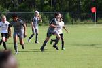 IMG_0175 (cam 0)