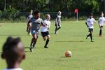 IMG_0179 (cam 0)