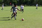 IMG_0185 (cam 0)