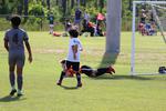 IMG_0196 (cam 0)