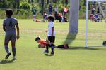 IMG_0197 (cam 0)