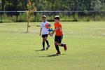 IMG_0201 (cam 0)