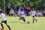 IMG_0204 (cam 0)
