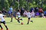 IMG_0206 (cam 0)