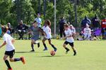 IMG_0207 (cam 0)