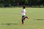 IMG_0211 (cam 0)