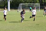 IMG_0222 (cam 0)