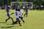 IMG_0224 (cam 0)