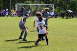 IMG_0225 (cam 0)